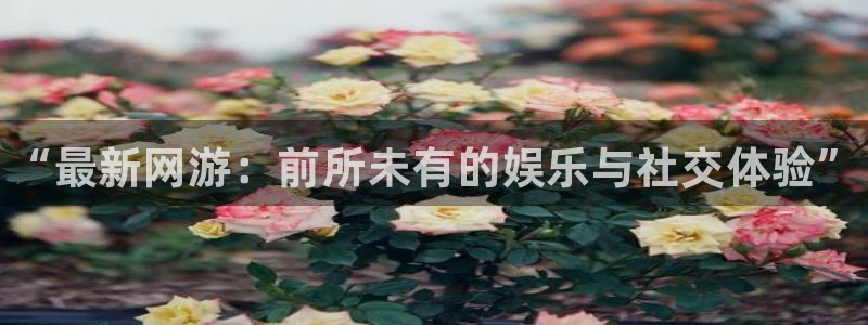 天美娱乐怎么注册：“最新网游：前所未有的娱乐与社交体验”