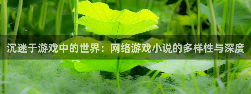天美娱乐4招商：沉迷于游戏中的世界：网络游戏小说的多样性与深