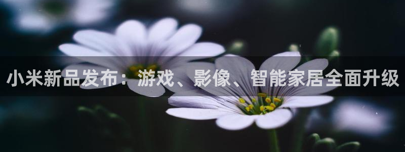 天美娱乐官方注册登录：小米新品发布：游戏、影像、智能家居全面