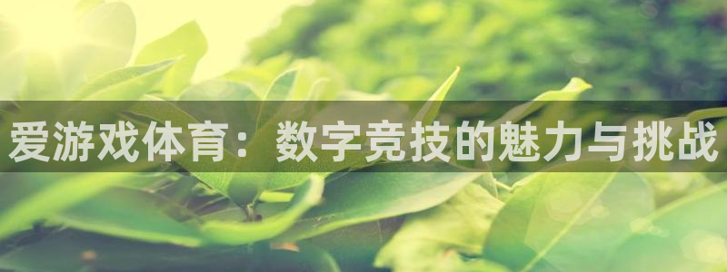 天美娱乐app下载：爱游戏体育：数字竞技的魅力与挑战