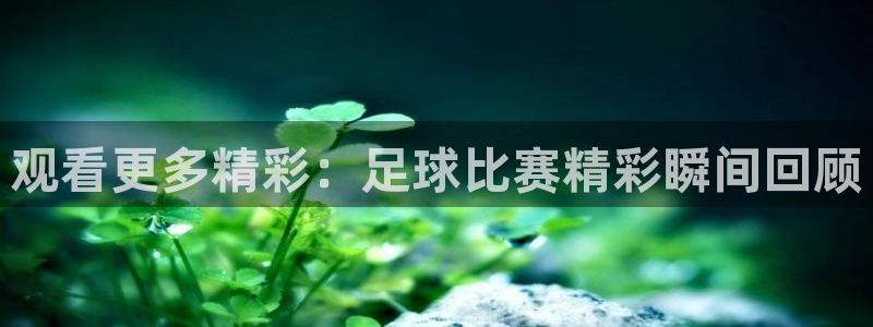 看球吧：观看更多精彩：足球比赛精彩瞬间回顾
