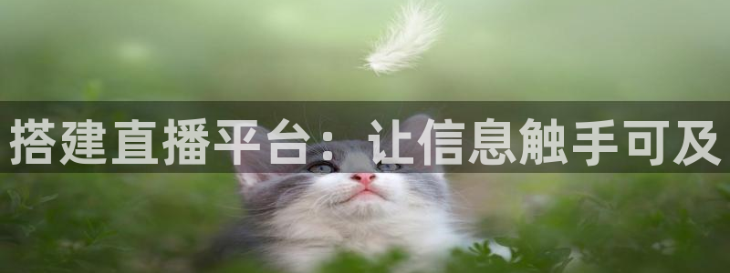 看球吧直播官网：搭建直播平台：让信息触手可及
