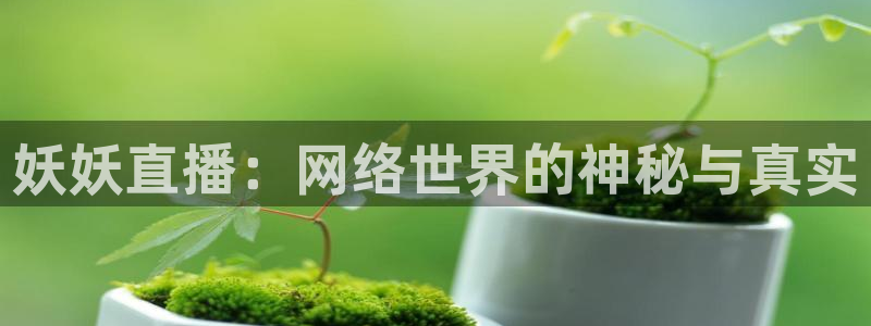 看球吧直播入口：妖妖直播：网络世界的神秘与真实