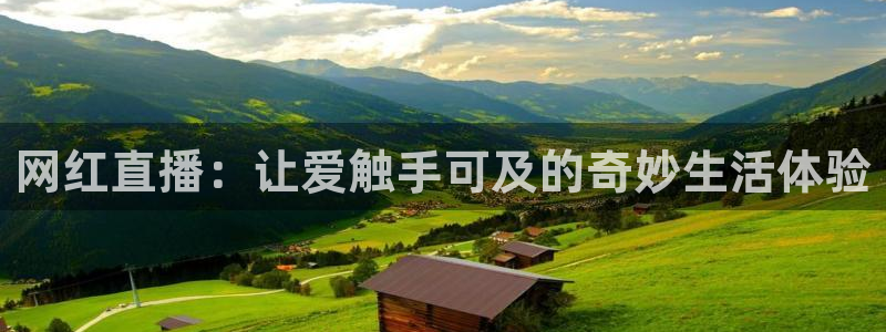 看球吧 直播：网红直播：让爱触手可及的奇妙生活体验